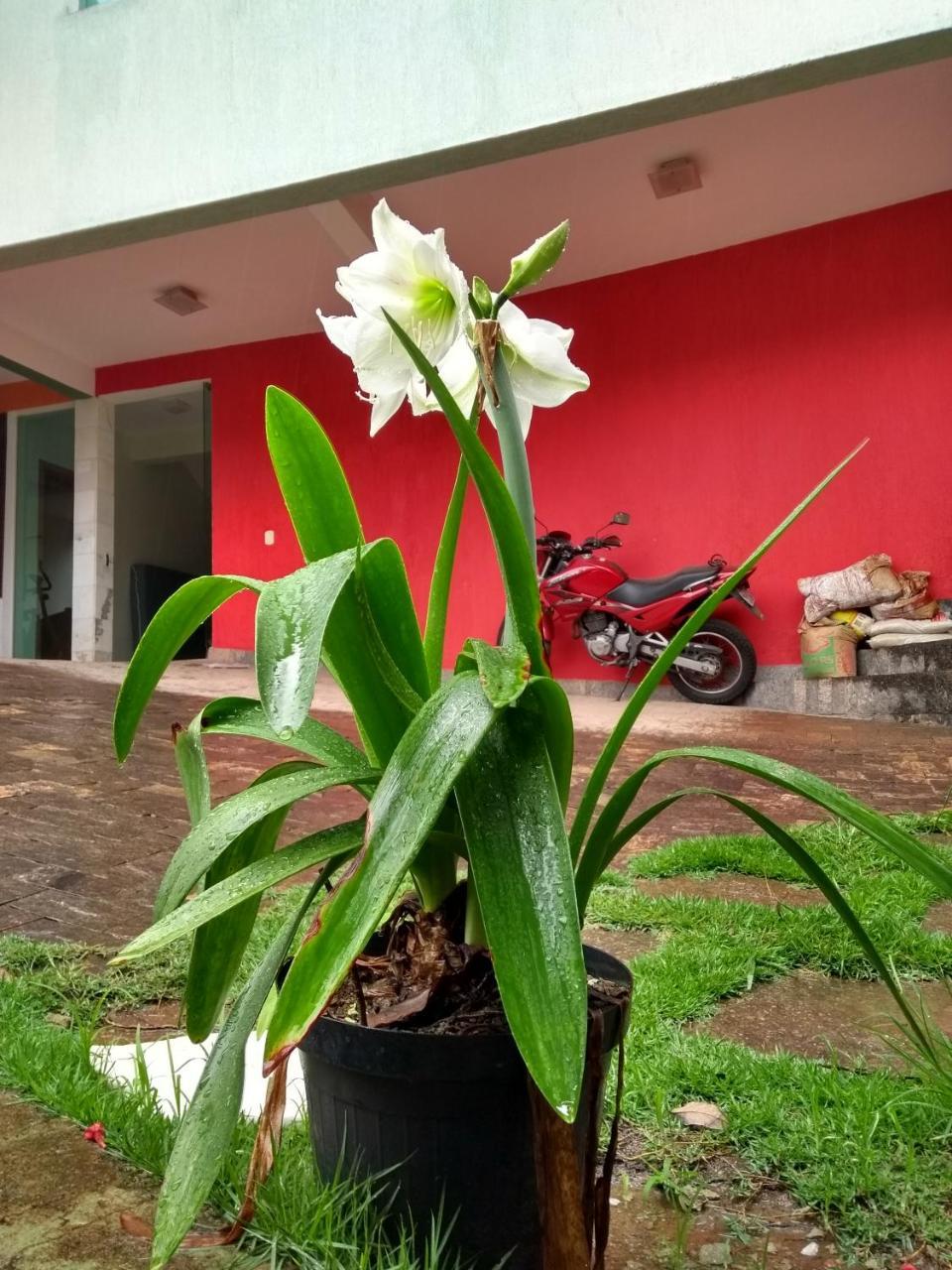 Guest house Casa
